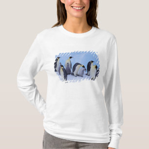 Antarktika, Kaiserpinguine T-Shirt