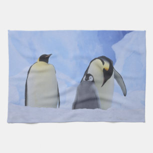 Antarktika. Kaiserpinguine und Küken Handtuch