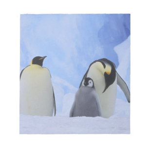 Antarktika. Kaiserpinguine und Küken Notizblock
