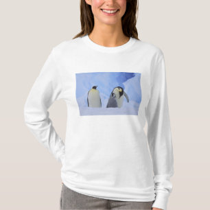 Antarktika. Kaiserpinguine und Küken T-Shirt