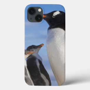 Antarktika, Neko Cove (Hafen). Gentoo Pinguin 2 Case-Mate iPhone Hülle