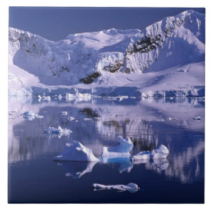 Antarktika, Paradise Bay Fliese