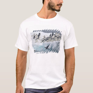 Antarktika, Paulet Island. Adeliepinguine T-Shirt