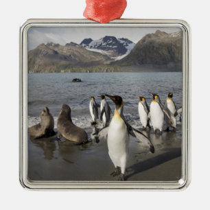 Antarktika, South Georgia Island (UK), Antarctic 2 Ornament Aus Metall