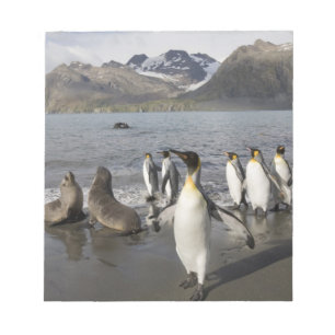 Antarktika, South Georgia Island (UK), Antarktis 2 Notizblock