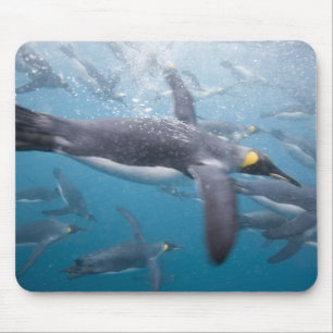 Antarktika, South Georgia Island UK Mousepad