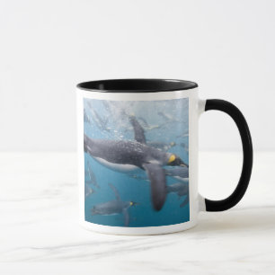 Antarktika, South Georgia Island UK Tasse