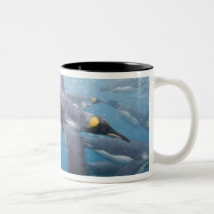 Antarktika, South Georgia Island UK Zweifarbige Tasse
