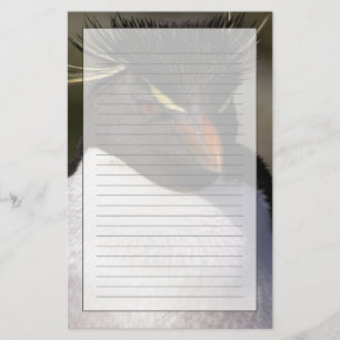 Antarktika, subantarktische Inseln, Süd 5 Briefpapier