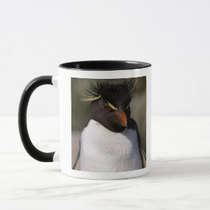 Antarktika, Subantarktische Inseln, Süd 5 Tasse