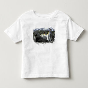 Antarktika, Südgeorgien-Insel. Antarktischer Pelz Kleinkind T-shirt