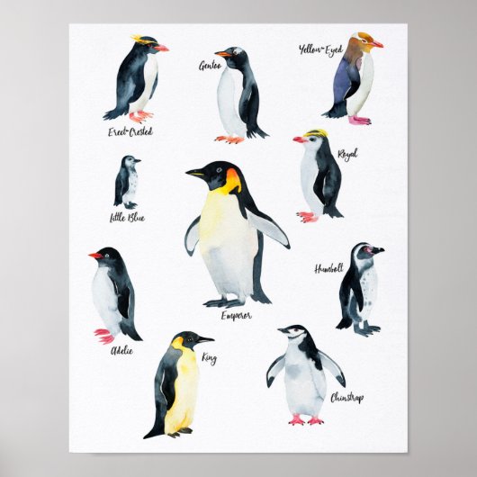 " Antarktis: 2021/heute - PINGUIN Arten ... Poster (Vorne)