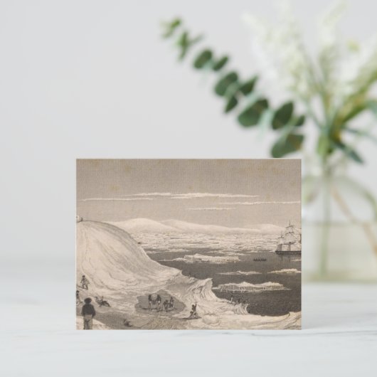 Antarktis 2 postkarte (Stehend Vorderseite)