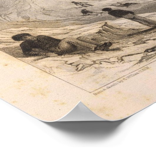 Antarktis 3 poster (Ecke)