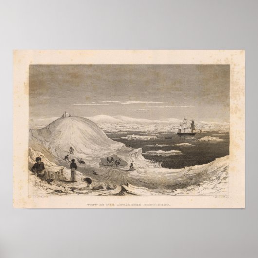 Antarktis 3 poster (Vorne)