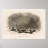 Antarktis 4 poster (Vorne)