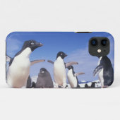 Antarktis, Adelie Penguin Pygoscelis Case-Mate iPhone Hülle (Rückseite (Horizontal))