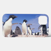 Antarktis, Adelie Penguin Pygoscelis Case-Mate iPhone Hülle (Rückseite (Horizontal))