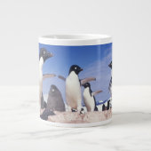 Antarktis, Adelie Penguin Pygoscelis Jumbo-Tasse (Vorderseite)