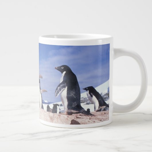 Antarktis, Adelie Penguin Pygoscelis Jumbo-Tasse (Rechts)