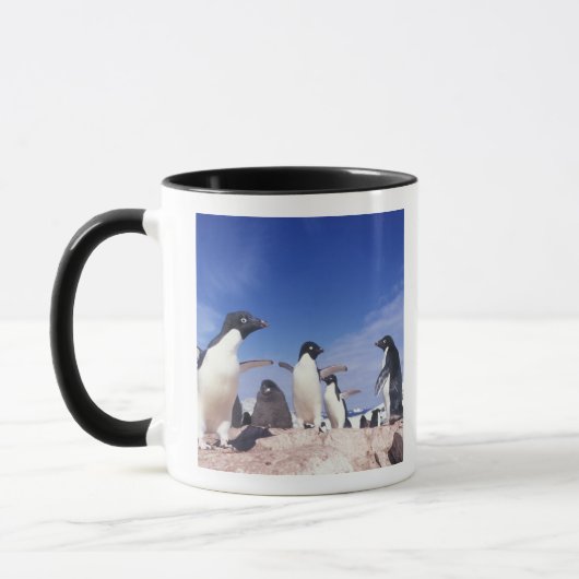Antarktis, Adelie Penguin Pygoscelis Tasse (Links)