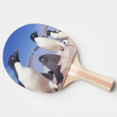 Antarktis, Adelie Penguin Pygoscelis Tischtennis Schläger (Seitenansicht)