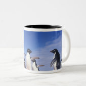 Antarktis, Adelie Penguin Pygoscelis Zweifarbige Tasse (VorderseiteRechts)