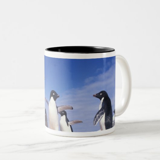 Antarktis, Adelie Penguin Pygoscelis Zweifarbige Tasse (VorderseiteRechts)