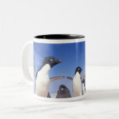 Antarktis, Adelie Penguin Pygoscelis Zweifarbige Tasse (Vorderseite Links)