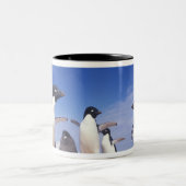 Antarktis, Adelie Penguin Pygoscelis Zweifarbige Tasse (Mittel)