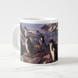 Antarktis, Adelie-Pinguin-Küken Jumbo-Tasse