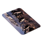 Antarktis, Adelie-Pinguin-Küken Magnet (Rechte Seite)