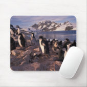 Antarktis, Adelie-Pinguin-Küken Mousepad (Mit Mouse)