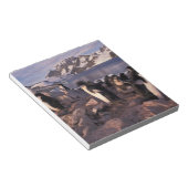 Antarktis, Adelie-Pinguin-Küken Notizblock (angewinkelt)