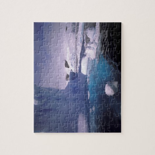 Antarktis Antarktis 2 Puzzle (Vertikal)