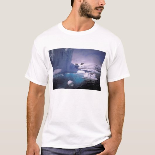 Antarktis Antarktis 2 T-Shirt (Vorderseite)