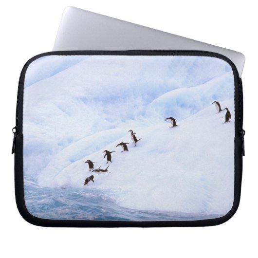 Antarktis, Antarktis-Halbinsel. Chinstrap Laptopschutzhülle (Vorderseite)