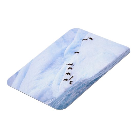 Antarktis, Antarktis-Halbinsel. Chinstrap Magnet (Linke Seite)