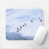 Antarktis, Antarktis-Halbinsel. Chinstrap Mousepad (Mit Mouse)