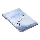 Antarktis, Antarktis-Halbinsel. Chinstrap Notizblock (Rechte Seite)