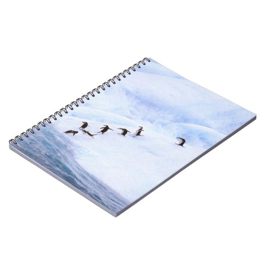 Antarktis, Antarktis-Halbinsel. Chinstrap Notizblock (Linke Seite)