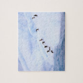 Antarktis, Antarktis-Halbinsel. Chinstrap Puzzle (Vertikal)