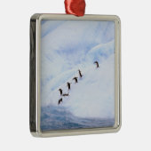 Antarktis, Antarktis-Halbinsel. Chinstrap Silbernes Ornament (Rechts)