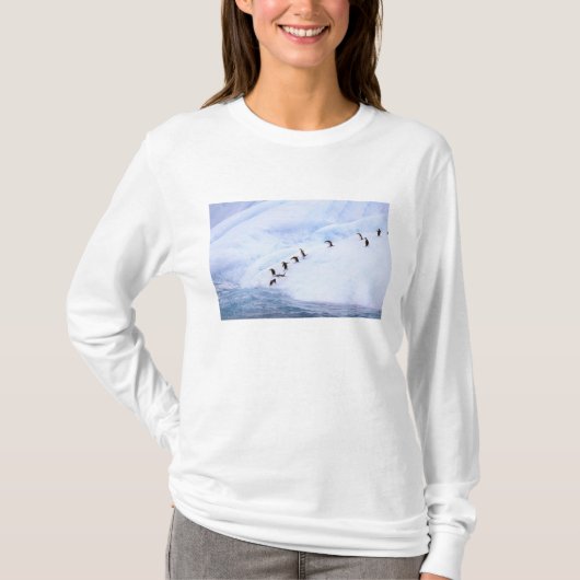 Antarktis, Antarktis-Halbinsel. Chinstrap T-Shirt (Vorderseite)
