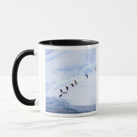 Antarktis, Antarktis-Halbinsel. Chinstrap Tasse (Links)