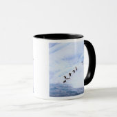 Antarktis, Antarktis-Halbinsel. Chinstrap Tasse (VorderseiteRechts)