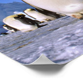 Antarktis, Antarktis, Halbinsel Weddell Sea, 3 Poster (Ecke)