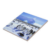 Antarktis, Antarktis, Halbinsel Weddell Sea 5 Fliese (Seite)