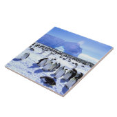 Antarktis, Antarktis, Halbinsel Weddell Sea, 5 Fliese (Seite)