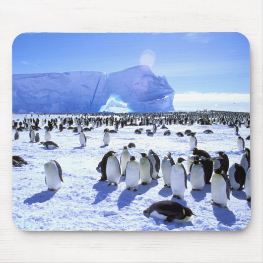 Antarktis, Antarktis, Halbinsel Weddell Sea, 5 Mousepad (Vorne)